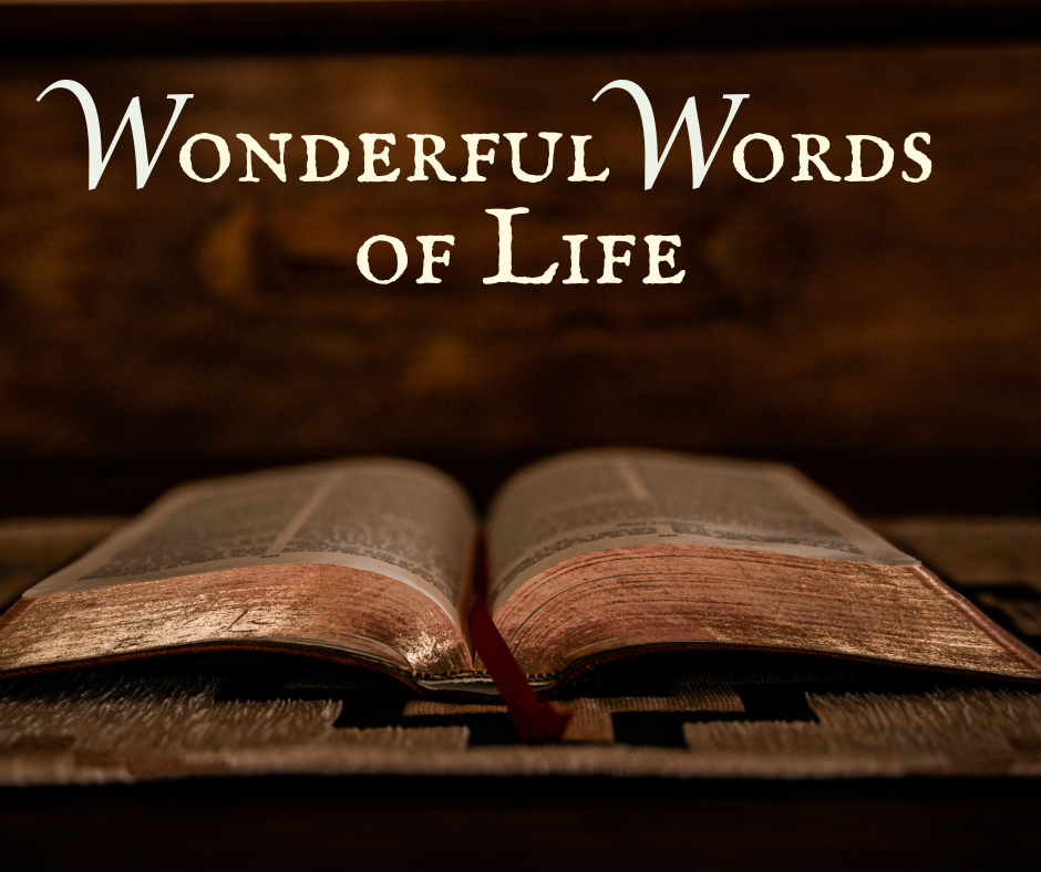 Featured image for “September 14 Sermon”